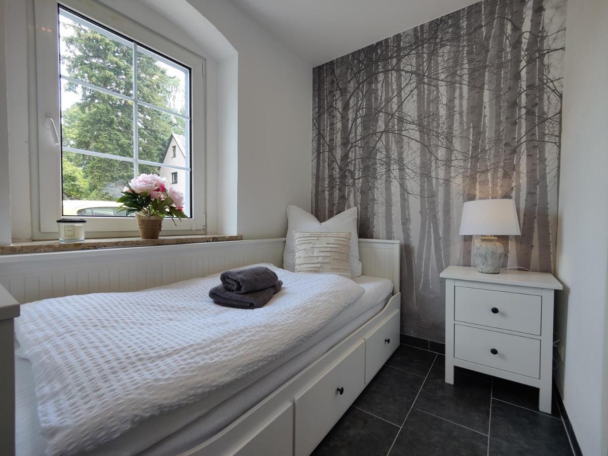 Ferienhaus Villa Adelsberg Mit Dachterrasse In Zentraler Lage Fuer Bis Zu 10 Personen Chemnitz Exterior foto