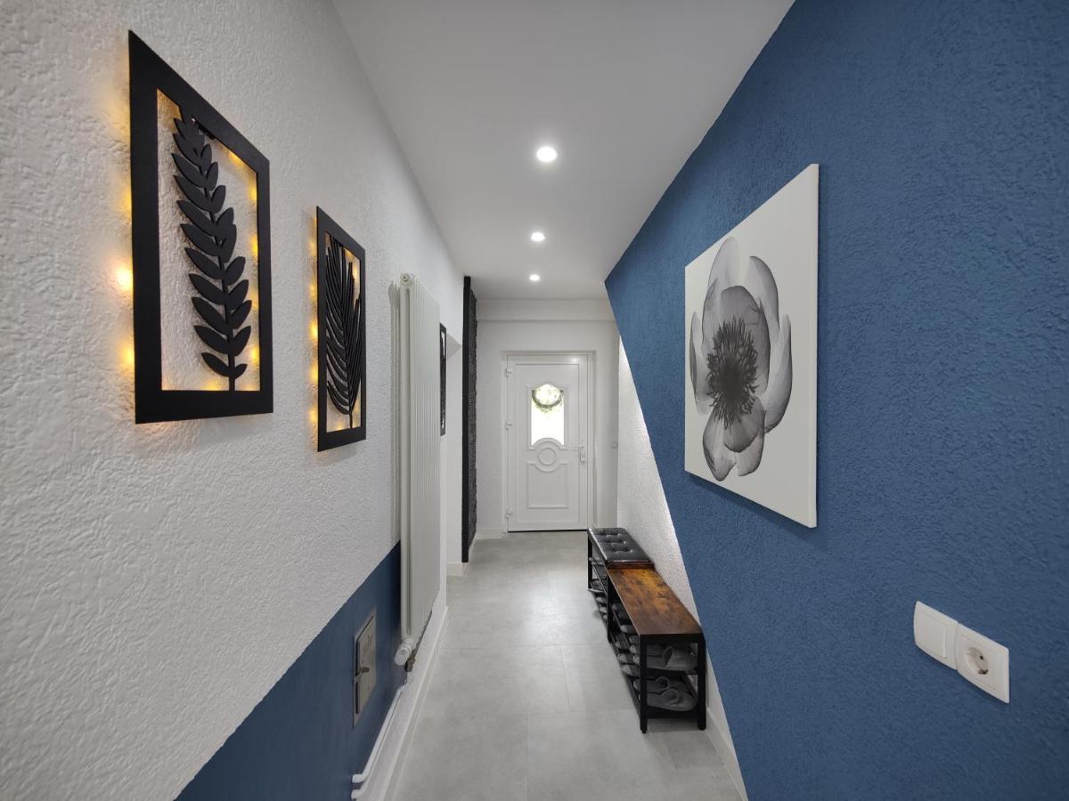 Ferienhaus Villa Adelsberg Mit Dachterrasse In Zentraler Lage Fuer Bis Zu 10 Personen Chemnitz Exterior foto